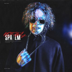 Album Notsry (Explicit) from spaalm