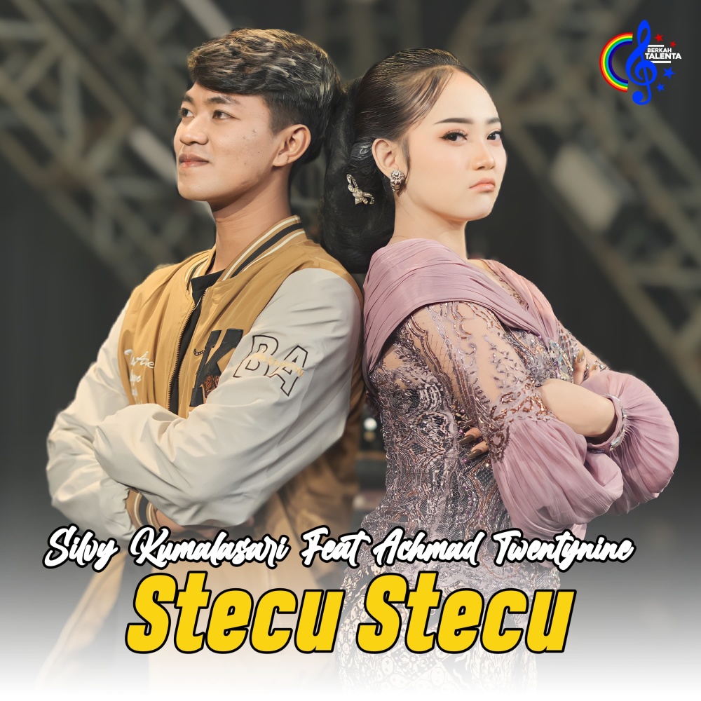 Stecu Stecu