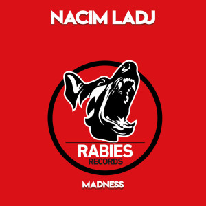 Dengarkan lagu Madness nyanyian Nacim Ladj dengan lirik