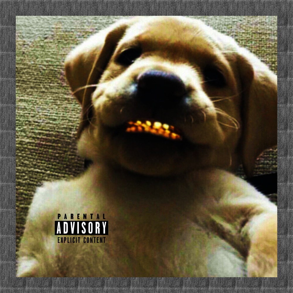 Cachorro de Mendigo
