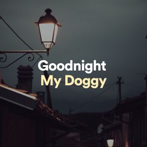 Calming For Dogs的专辑Goodnight My Doggy