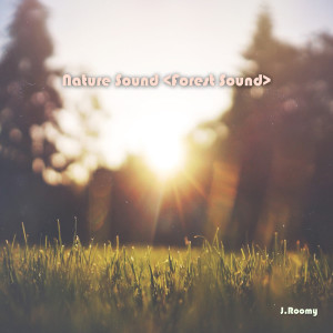 收聽J.Roomy的Forest Sound (White Noise, ASMR, Nature Sound)歌詞歌曲