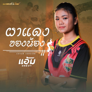 ดาวน์โหลดและฟังเพลง ผาแดงของน้อง (Cover Version) พร้อมเนื้อเพลงจาก แอ้ม ชลธิชา