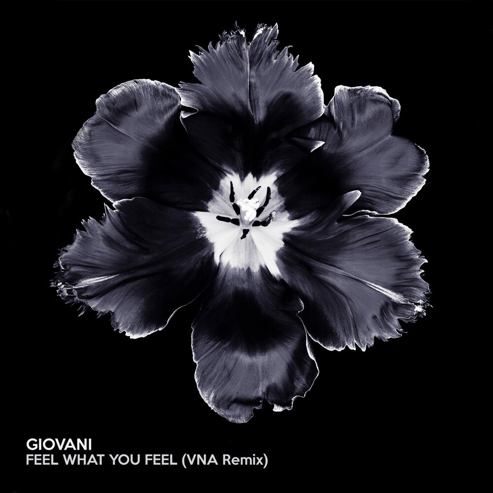 Feel What You Feel (VNA Remix)