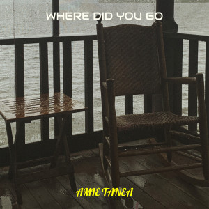 Listen to Where Did You Go song with lyrics from Amie Tanea