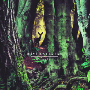 收聽David Sylvian的Small Metal Gods歌詞歌曲