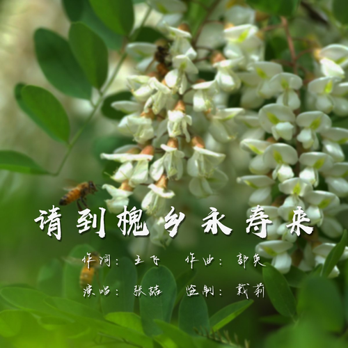 请到槐乡永寿来 (伴奏)