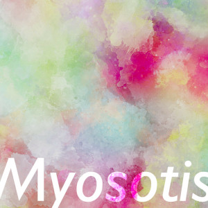 收聽NaMoo的Myosotis歌詞歌曲