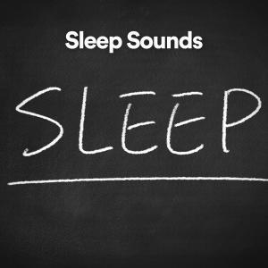 Sound Sleeping的专辑Sleep Sounds