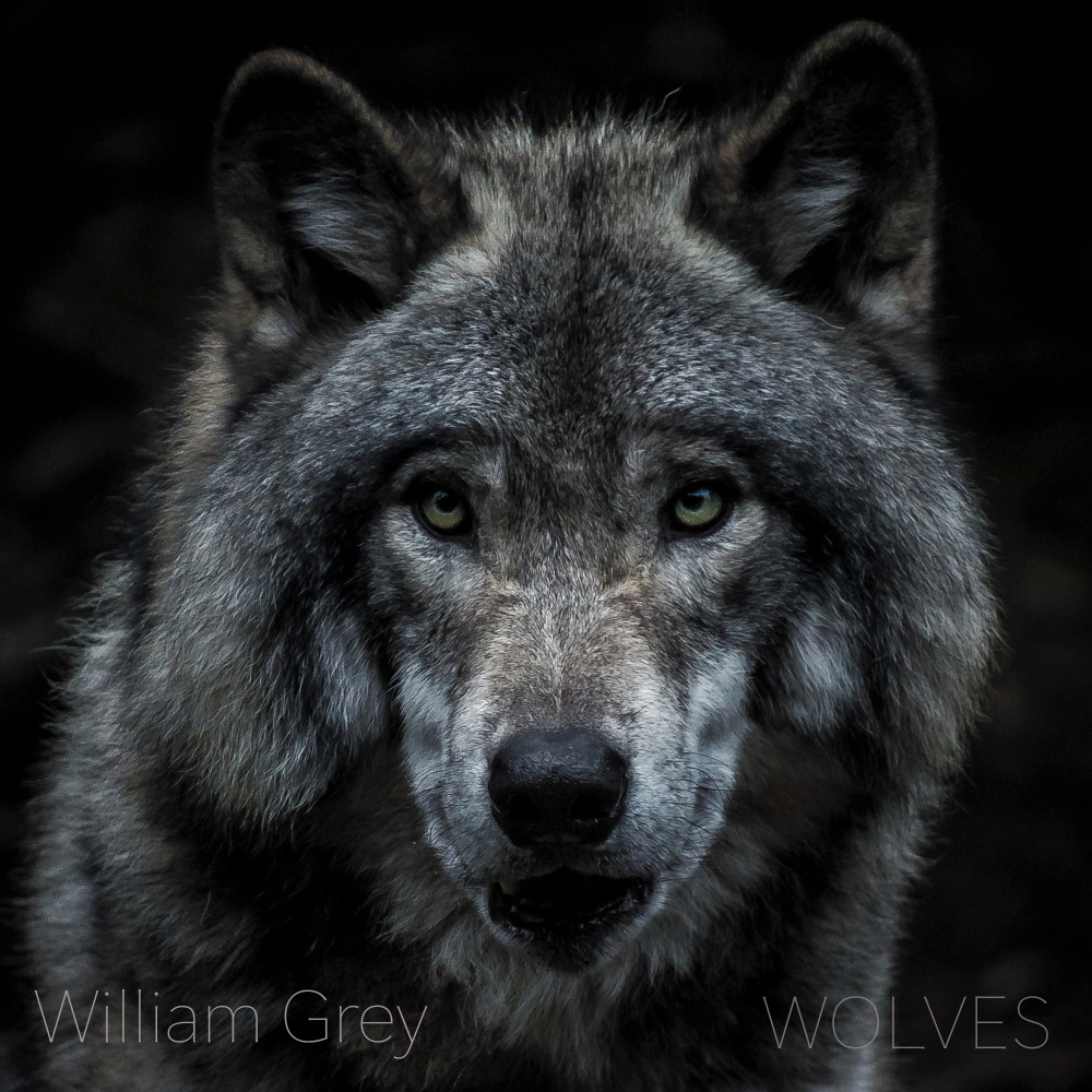 Wolves