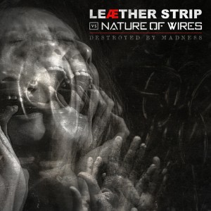 Leaether Strip的專輯Destroyed By Madness (Explicit)