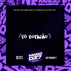 收聽DJ SARAIVA的Só Botadão (Explicit)歌詞歌曲