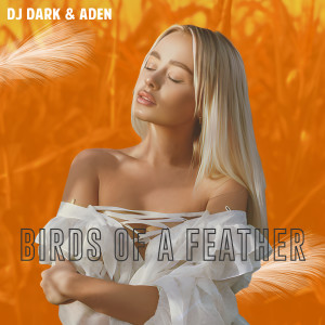 收聽DJ Dark的BIRDS OF A FEATHER歌詞歌曲