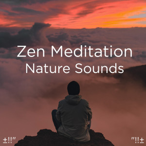 收聽Yoga的Water Sounds Meditation歌詞歌曲