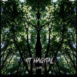 Listen to Itt hagytál song with lyrics from Luca