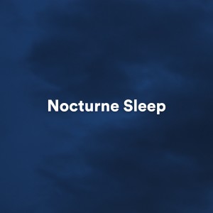 Healing Music Spirit的专辑Nocturne Sleep