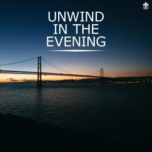 Album Unwind in the Evening from Various