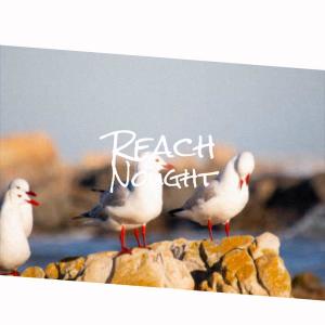 ดาวน์โหลดและฟังเพลง Without Any พร้อมเนื้อเพลงจาก Shaym Reut