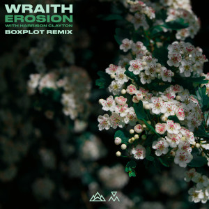 Wraith的專輯Erosion (Boxplot Remix)