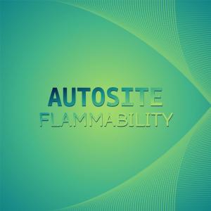 Various Artists的專輯Autosite Flammability