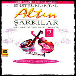 Listen to Anladım Sevmeyeceksin song with lyrics from Selahattin Pınar