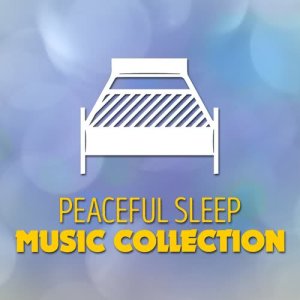 收聽Peaceful Sleep Music的Four Walls歌詞歌曲