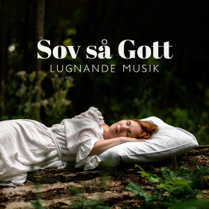 Album Sov så Gott (Lugnande Musik för Stress och Sömnproblem) from 
