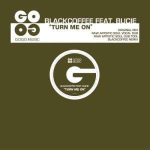 Listen to Turn Me On (Raw Artistic Soul Vocal Dub) song with lyrics from Black Coffee
