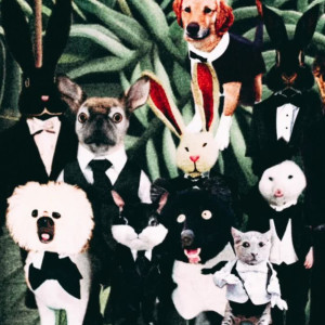 default playlist img