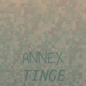 ดาวน์โหลดและฟังเพลง Annex Tinge พร้อมเนื้อเพลงจาก Mern Togo