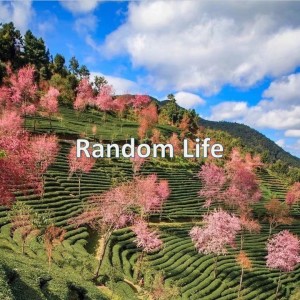 Listen to Random Life (完整版) song with lyrics from Darkingz