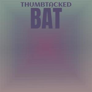 收聽Dord Catz的Thumbtacked Bat歌詞歌曲
