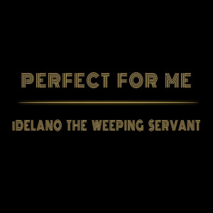 Listen to Perfect for Me song with lyrics from iDelano The Weeping Servant
