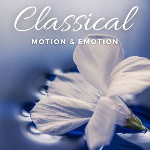ดาวน์โหลดและฟังเพลง I พร้อมเนื้อเพลงจาก Lisbon Great Culture Orchestra