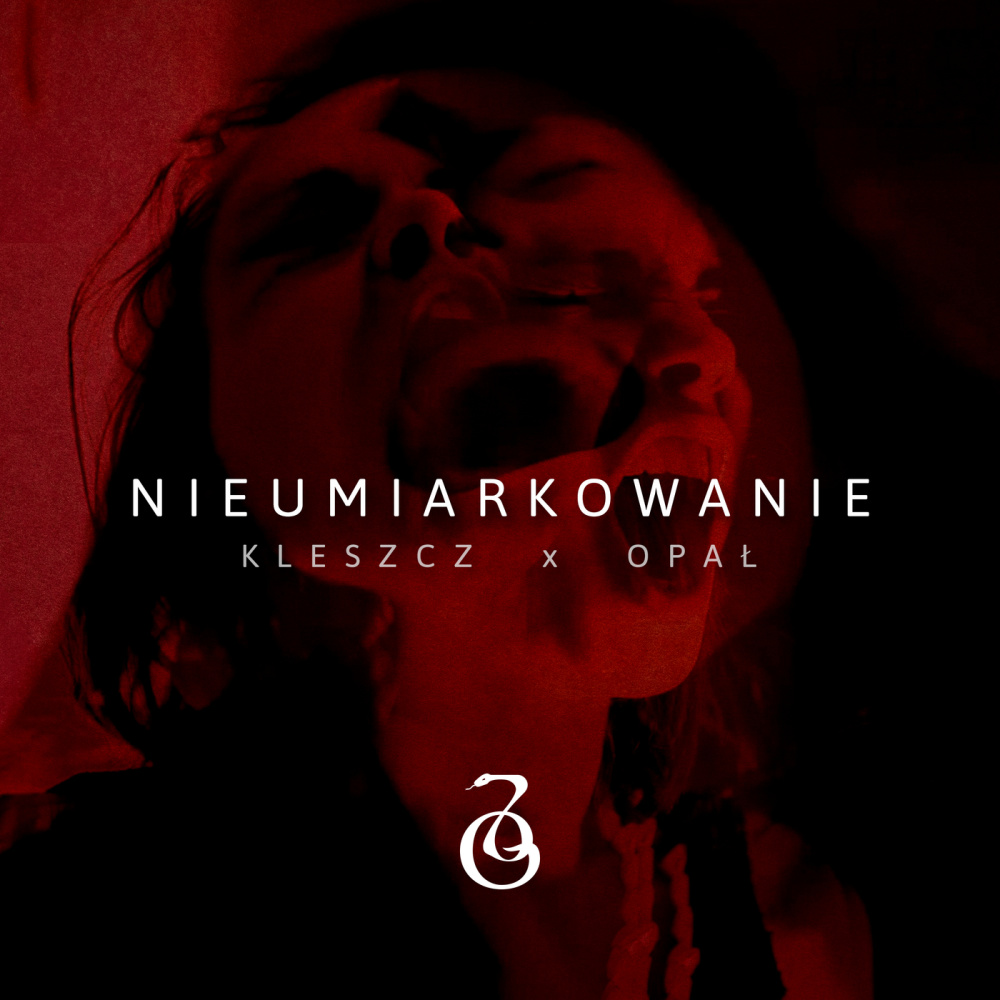 Nieumiarkowanie (Explicit)