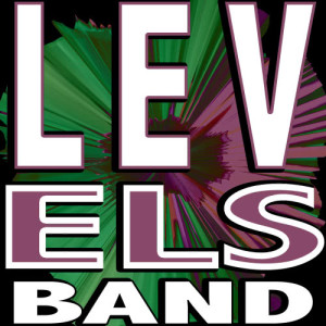 ดาวน์โหลดและฟังเพลง Levels (Originally Performed By Avicii) [Karaoke Version] (Karaoke Version) พร้อมเนื้อเพลงจาก Karaoke Charts