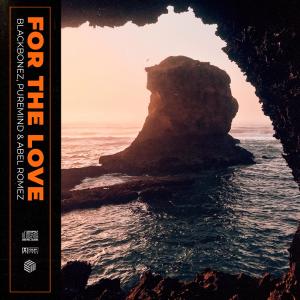 Album For The Love from BlackBonez