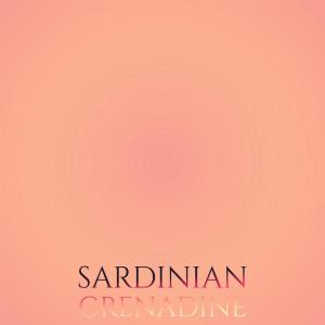 Album Sardinian Grenadine oleh Various