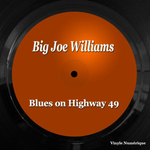 Album Blues on Highway 49 from Big Joe Williams