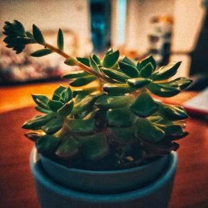 Listen to Cozy Space song with lyrics from NamesAsFlowers