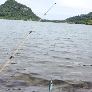 Album fishing every day from 