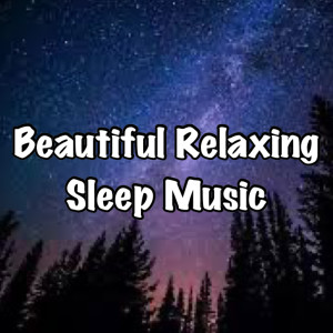 Listen to Beautiful Relaxing Sleep Music song with lyrics from To Res
