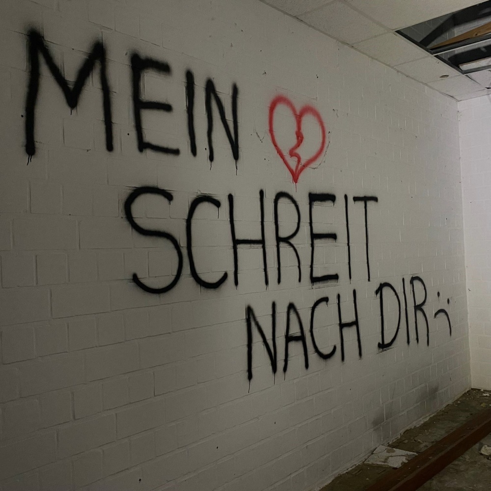 MEIN HERZ SCHREIT NACH DIR (feat. NYAR) (Explicit)