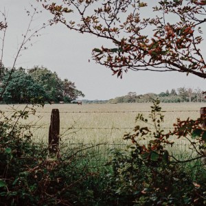 Dengarkan Middle Of The Night lagu dari The Field Tapes dengan lirik