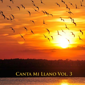Various Artists的专辑Canta Mi Llano Vol 3