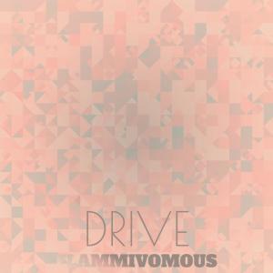 Various Artists的專輯Drive Flammivomous