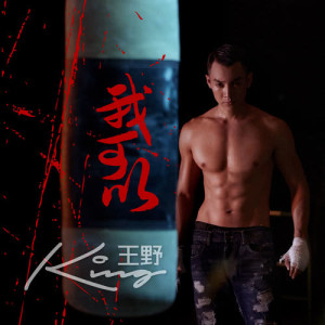 Listen to Wo Ke Yi song with lyrics from Wang Ye (王野)