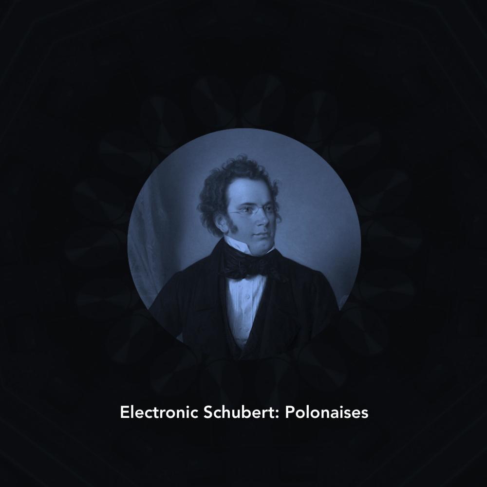 6 Polonaises, D. 824: No. 6 in E Major