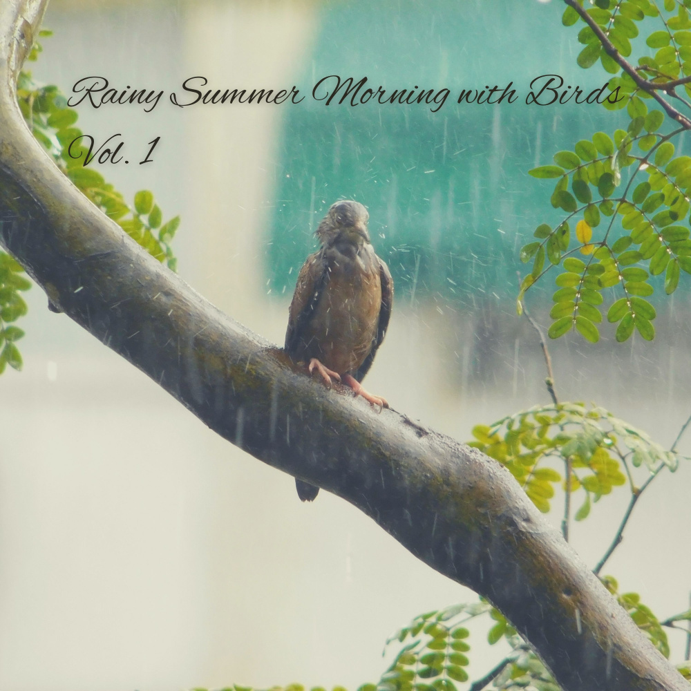 Tweeting Birds and Rainfall