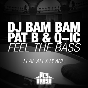 Q-ic的專輯Feel the Bass (Radio Mix) (feat. Alex Peace)